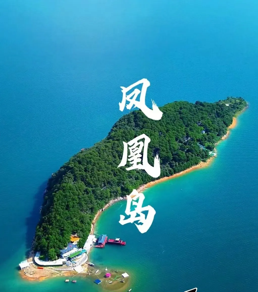 d88291818b3a43c63085590ef62e08ba-sz_391998-1