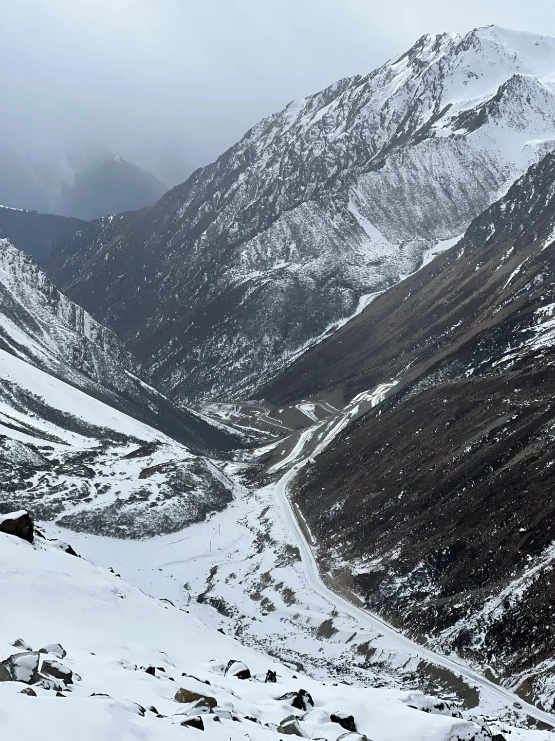 d888805e9c511ff88f470b140abd1b29-sz_556876