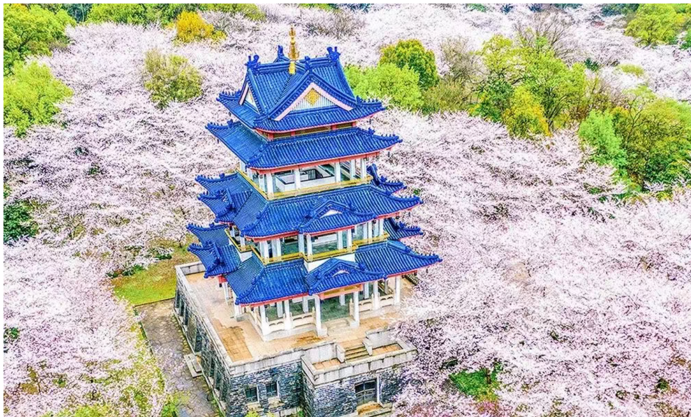 d8b032d48acd4d4078181c62246b10eb