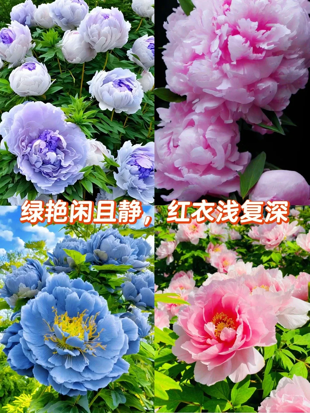 d9282bb3aff74110b251c44ed8af16a1-sz_2874821