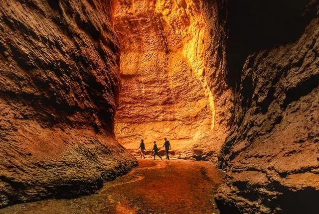 d9360d04158950c9fca2d889c40971ca-sz_819041