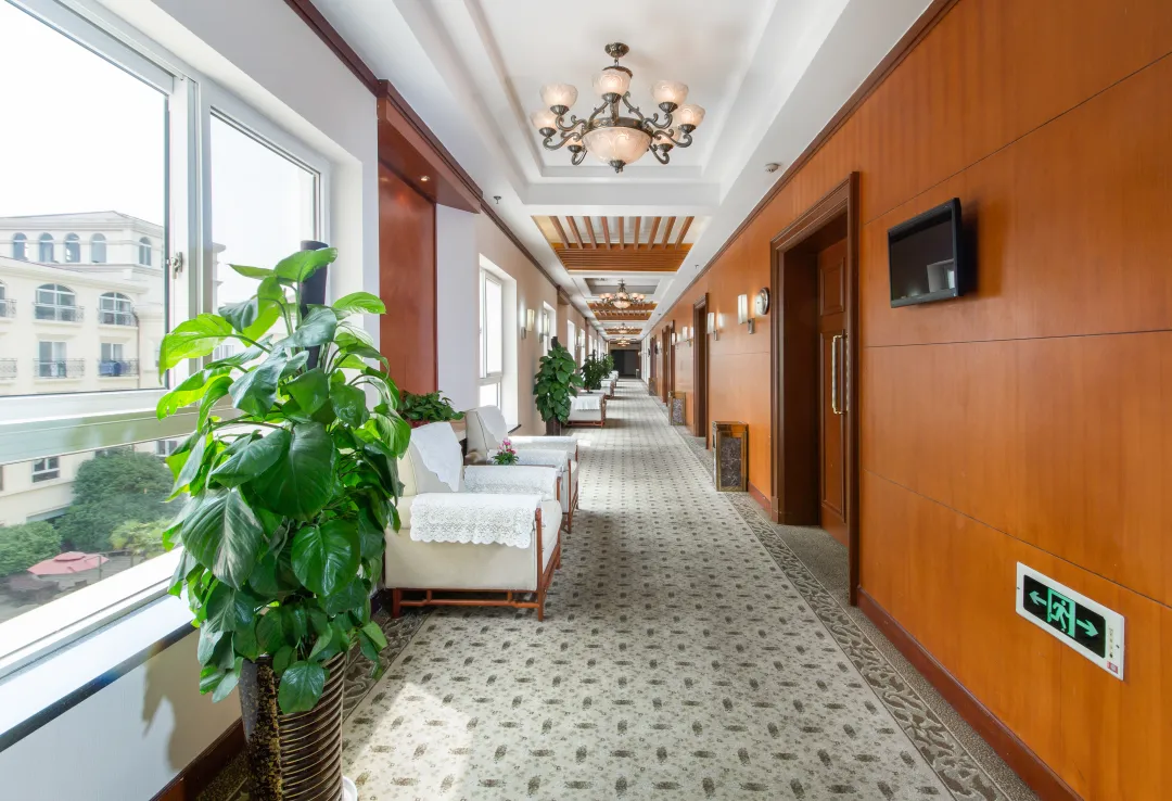 d947500a5f37c5a69bebd03d2337bb50-sz_4312040