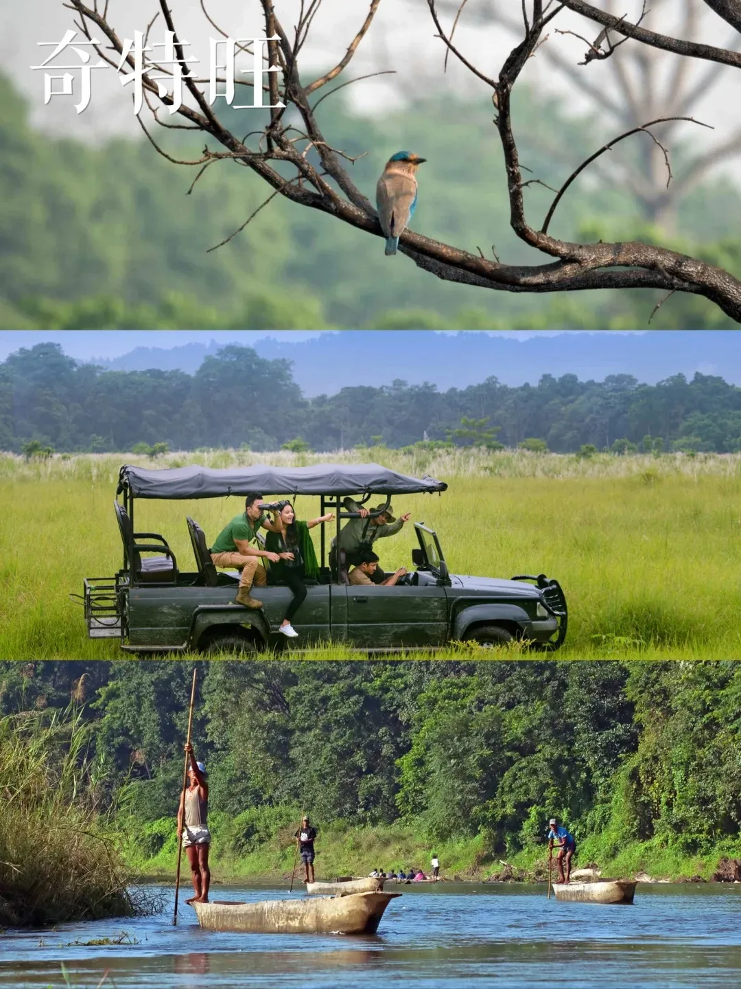 d955a37f610eb9da94f1869039305d31-sz_484688-1