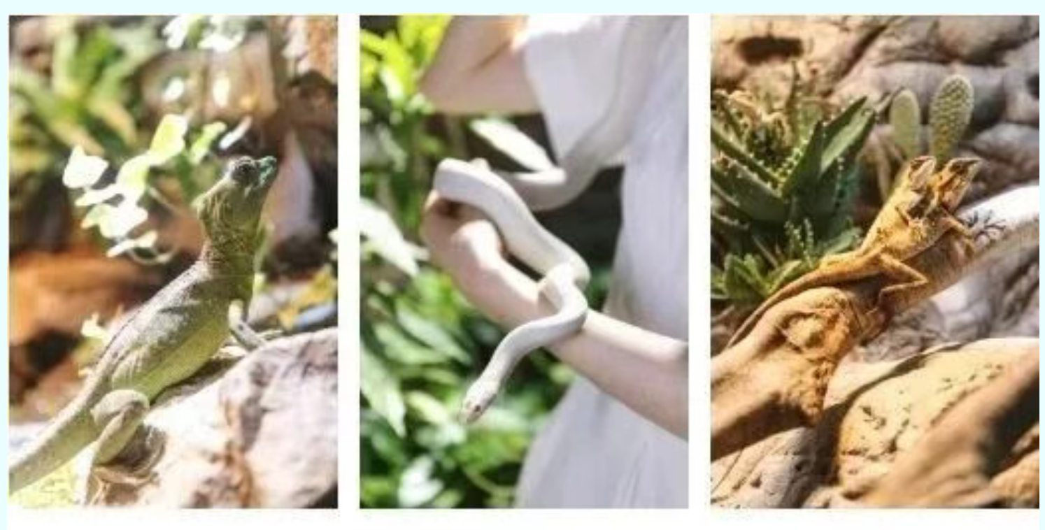 d95837e6e84ac07b00630f12ffa45570