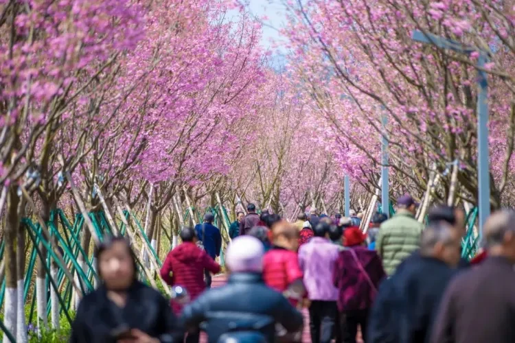 d96ac8b57e4d3ada83630f699cf60d3b-sz_183934