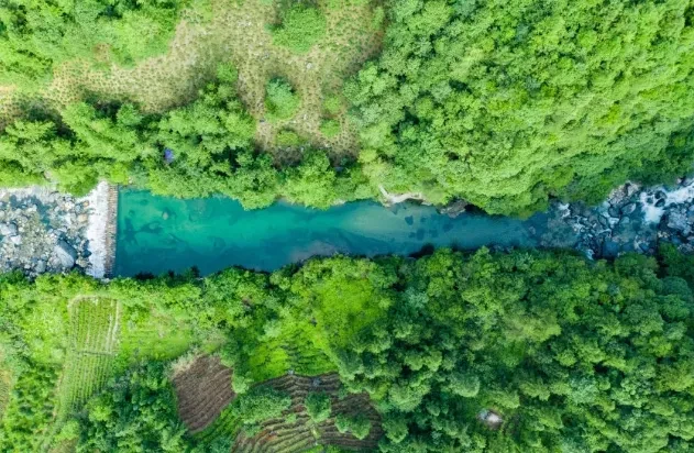 d99bf0be7887df8023e70e730671b263-sz_661144