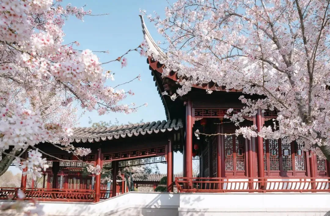 d9c620c70d10e9f97be213b27693f11f-sz_188819