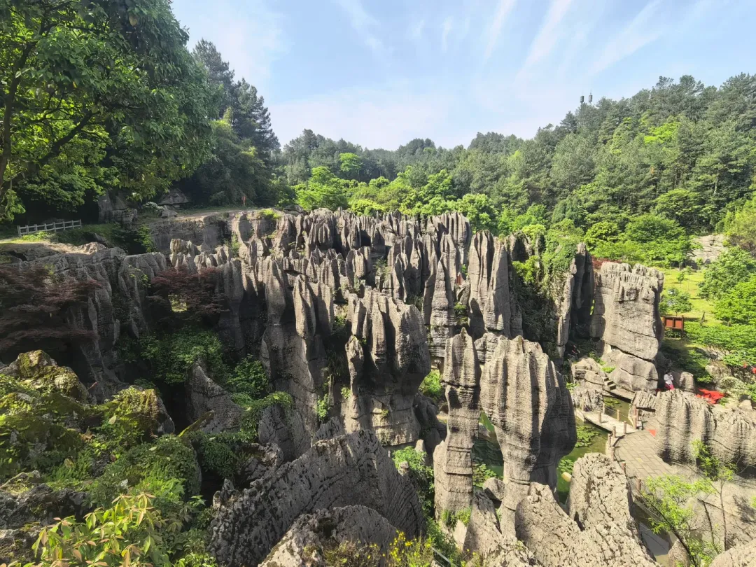 da4315d7cb9d314557786b1dbea009f1-sz_3215988