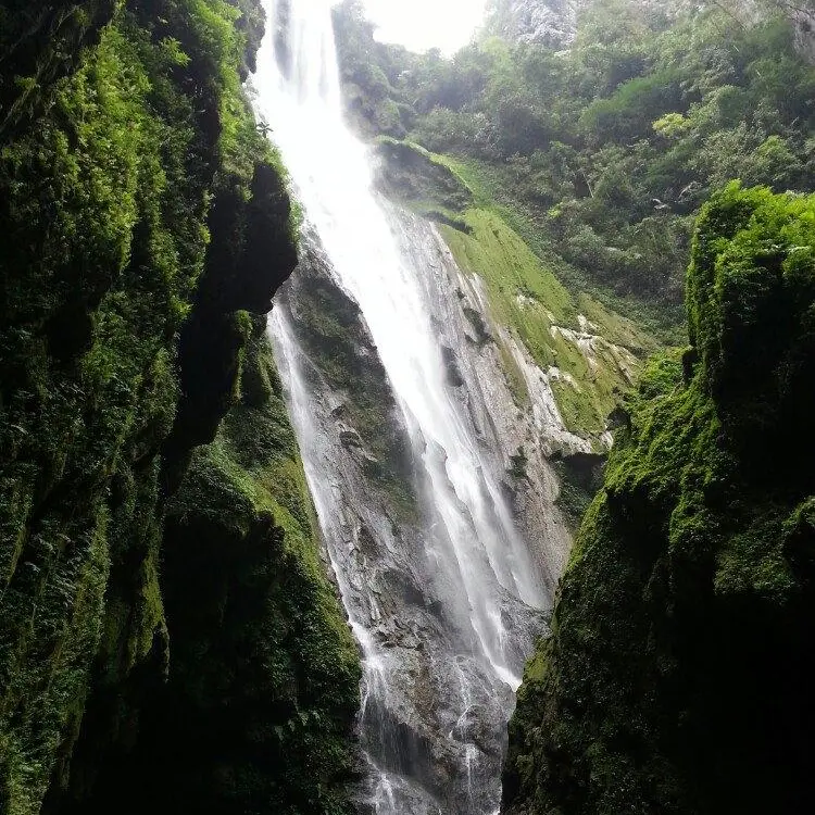 dab921334a20be14284c17dcdc00c4d7-sz_167146-1 dab921334a20be14284c17dcdc00c4d7-sz_167146-1