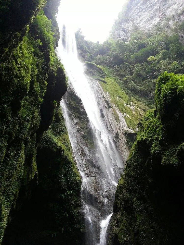 dab921334a20be14284c17dcdc00c4d7-sz_167146