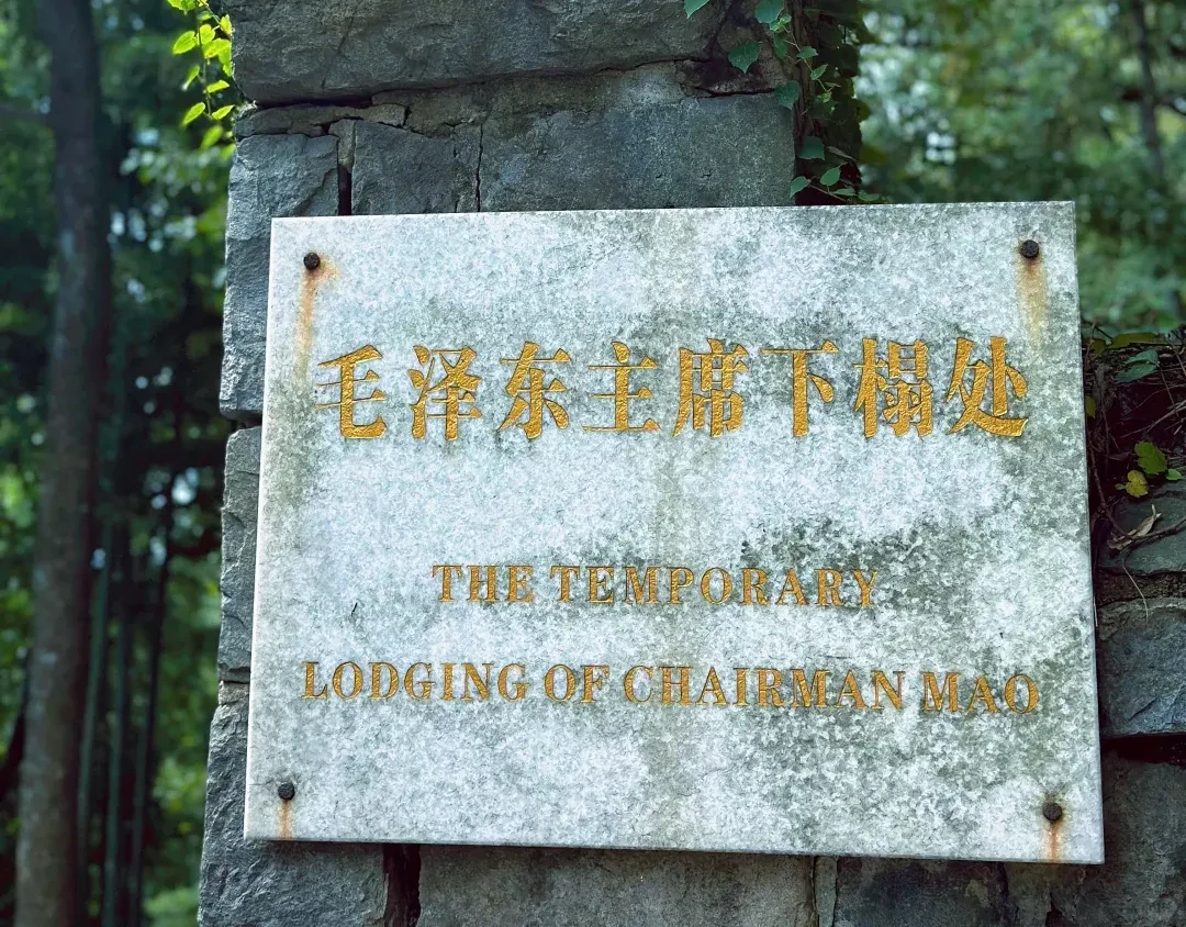 dac6923280a0216e4dd9cb23dcf40349-sz_4082903