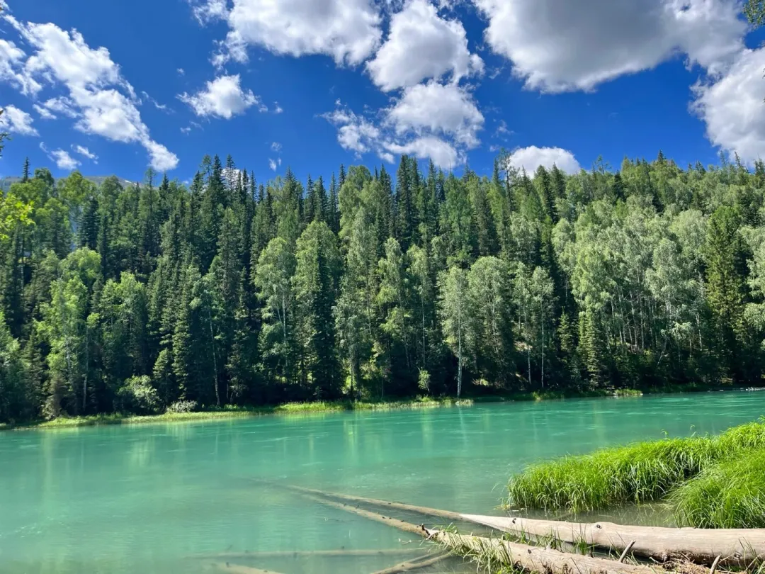 daebf49b3df14a36131a0395e72284d3-sz_539512