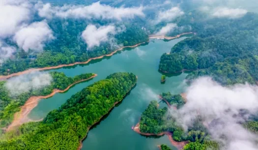 db005d46580bdbdecd7fe264e5deec57-sz_419310