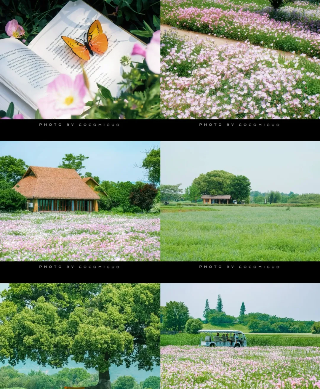 db30bdd9e60d43f0a9bec23de07cd6e1-sz_2019336