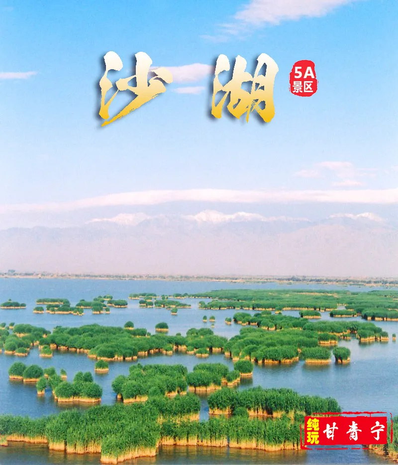 db5c16f11948ba22cfeb6f16cdd88f8f-sz_229044