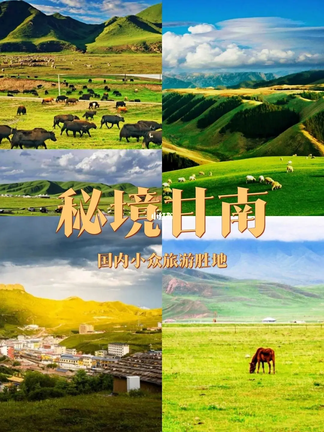 王牌万人口碑线·全网性价比TOP1【2499起九色甘南·九日纯玩】圣境甘南·醉美阿坝·陇上陇南·天上天水·河州临夏·金城兰州·三大5A景区·升级四钻·三大美食