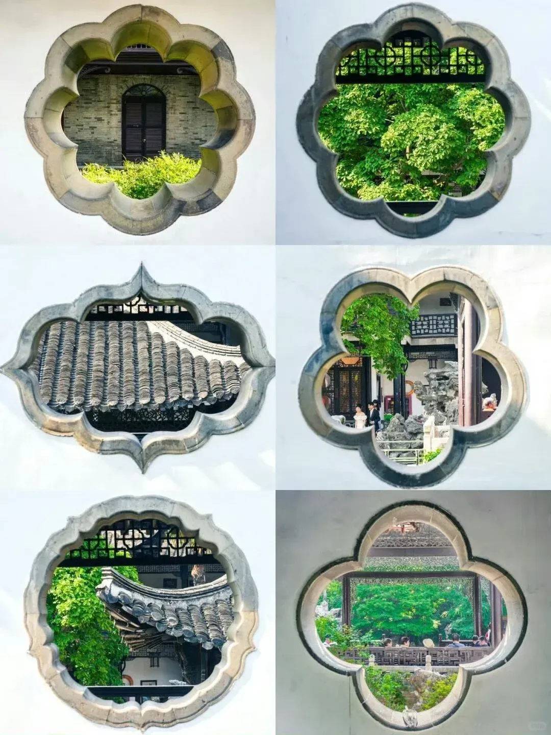 db7c728146d717717bfdc6a4d59d20d1-sz_1903953