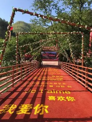 dbc813318f8d65f1d07e0cdde44aede0-sz_37267