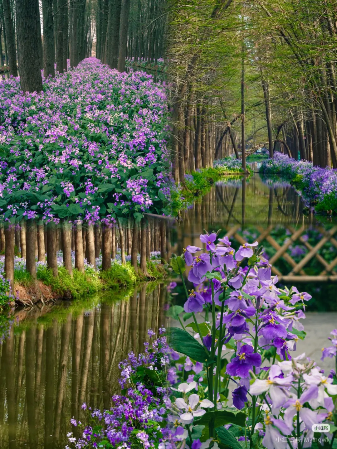 dbda437a43502ca1ebbf081e36e72370-sz_2181398