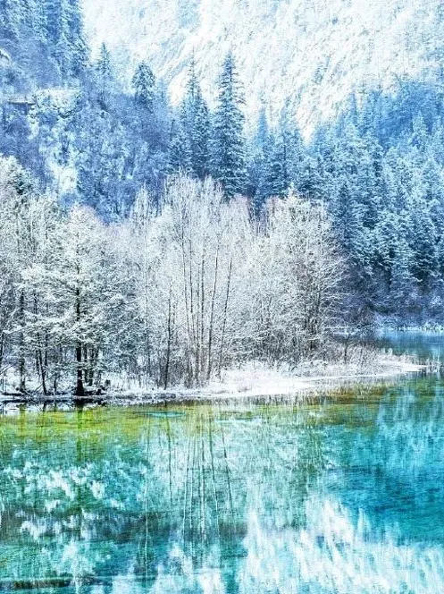 dbe855c184078eb5dcbe6812dfb0ad71-sz_242629