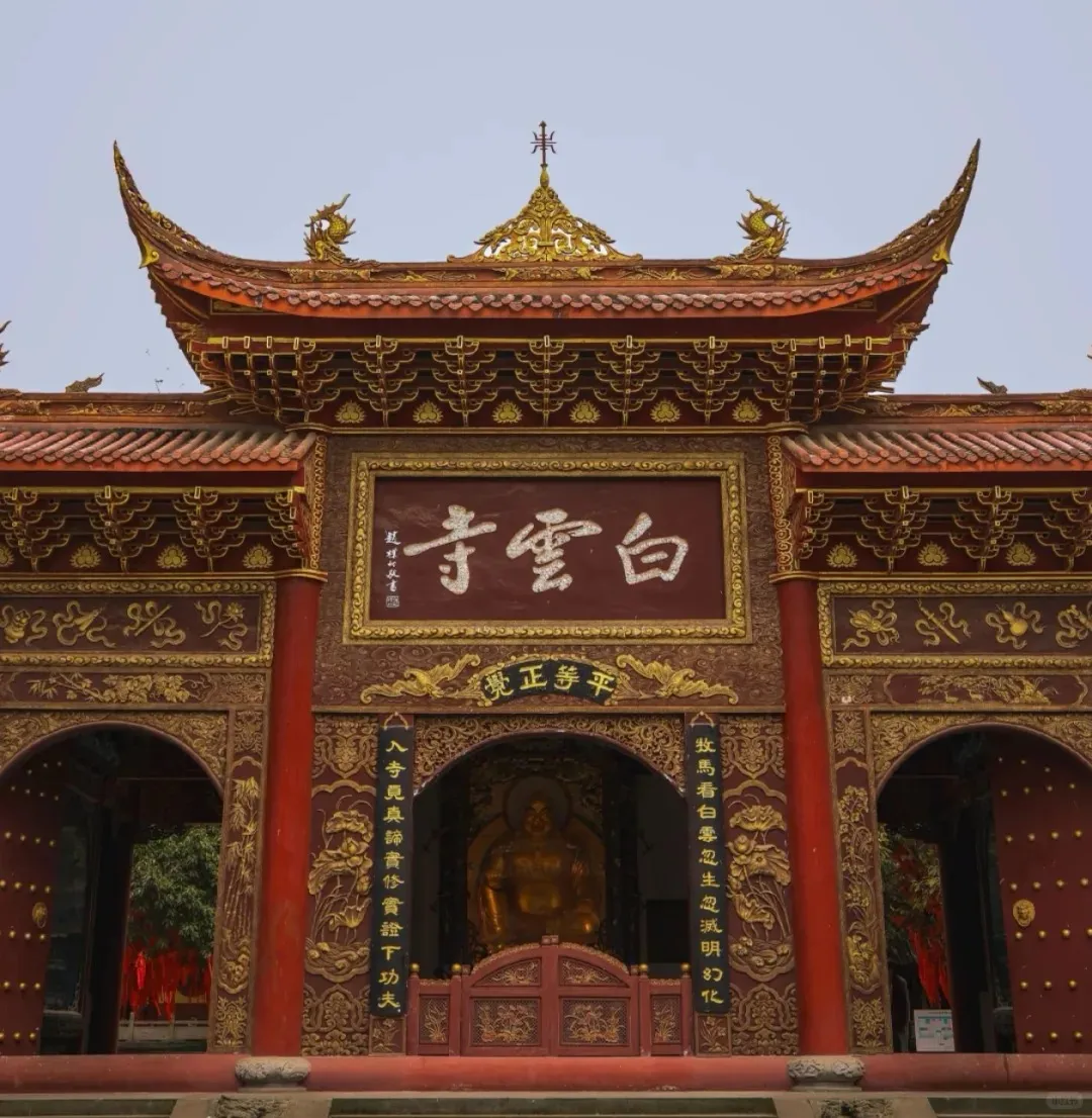 dbf7a0514a8f7fa5fa0f133e87367754-sz_1707445-1