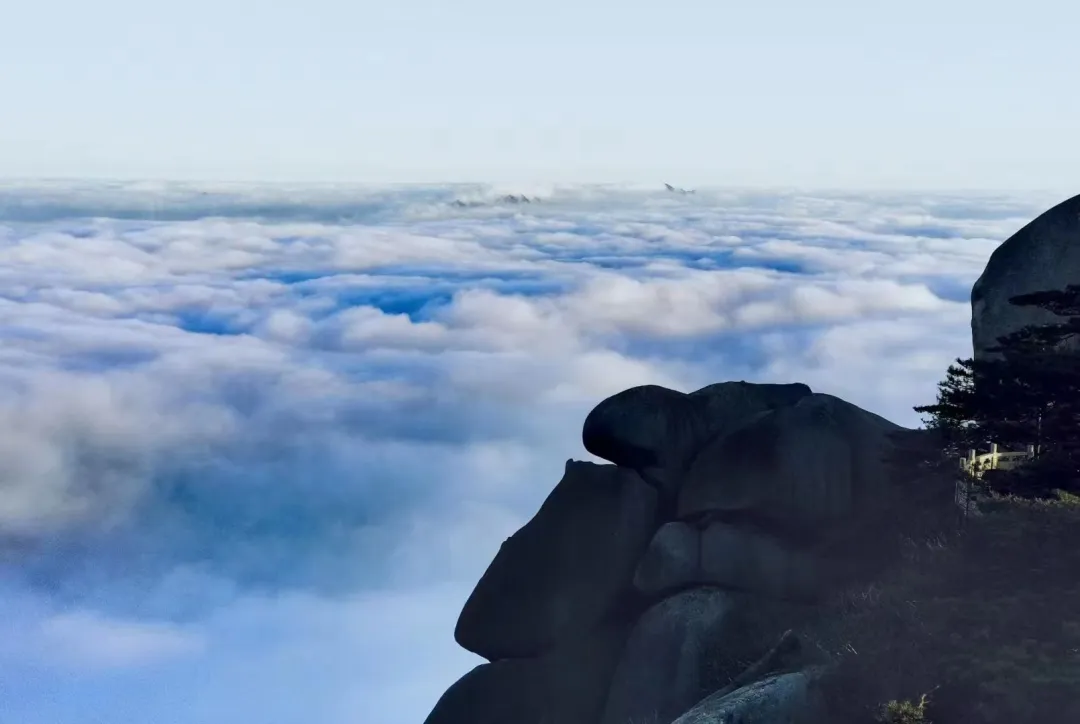 dc1d23d915a41ccb5c4d49a3f64ba2a7-sz_563526