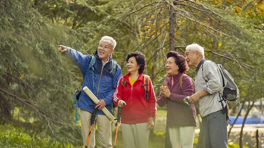 dc4a05d9bdf18ad7e2207e9a8d1ca4ad-sz_113533