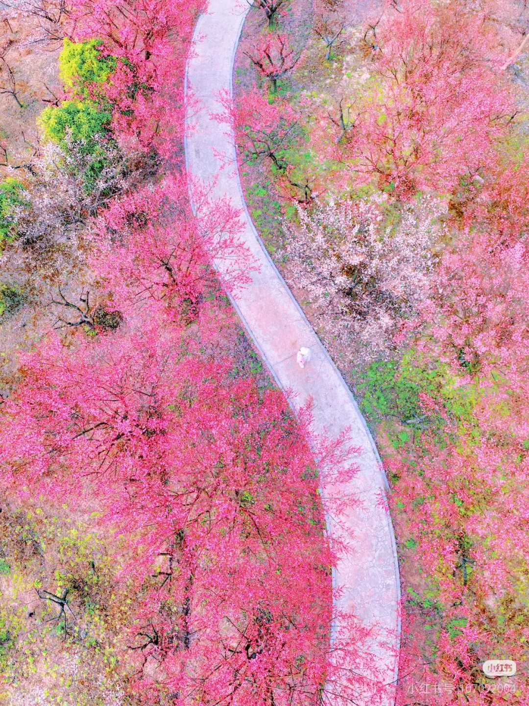 dcc353a2ef200245a8ac1b5e3d89fabf-sz_3117546