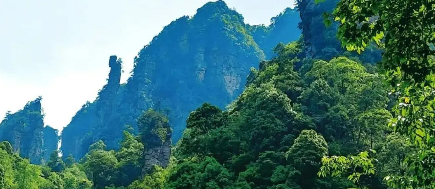 dce292206036ebd5950c731697a75de6