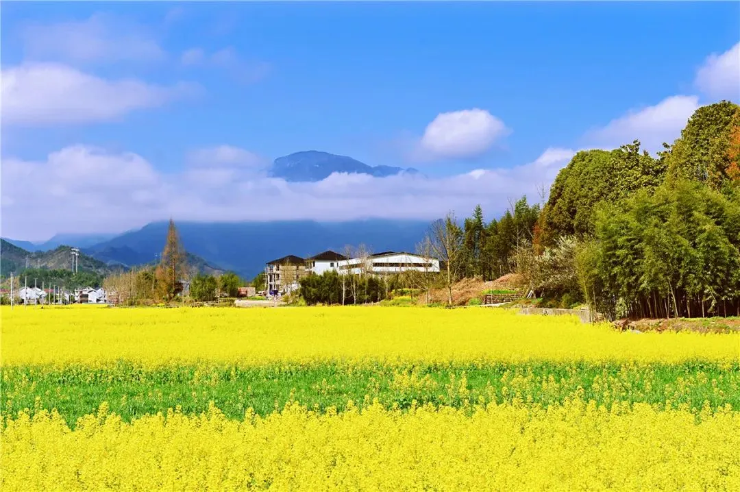 dd19e1be28bfbc19e8f27164579912c0-sz_159416