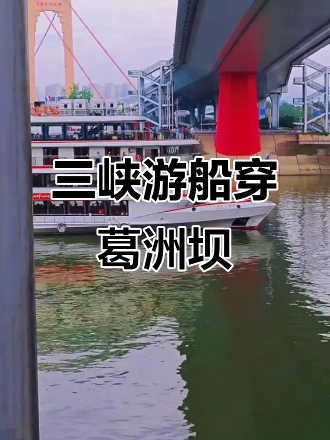 dd7ca52f1d92f8c4cedac4a9f2a87edc-sz_1008340