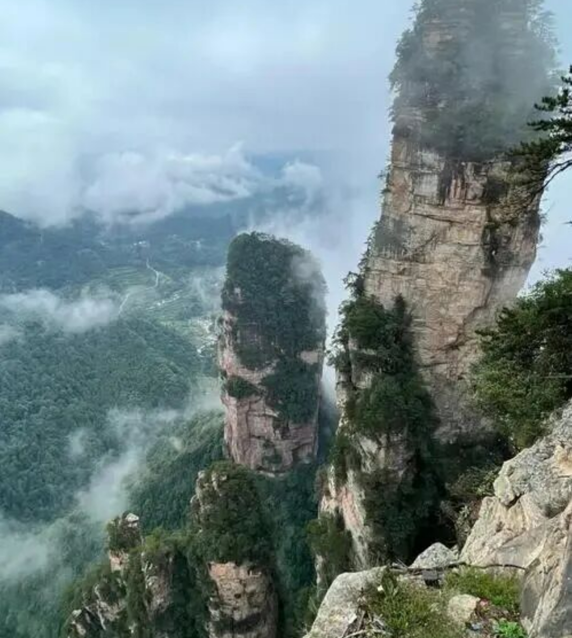 ddc3c253a2fd8ebe000244a1fc68228c