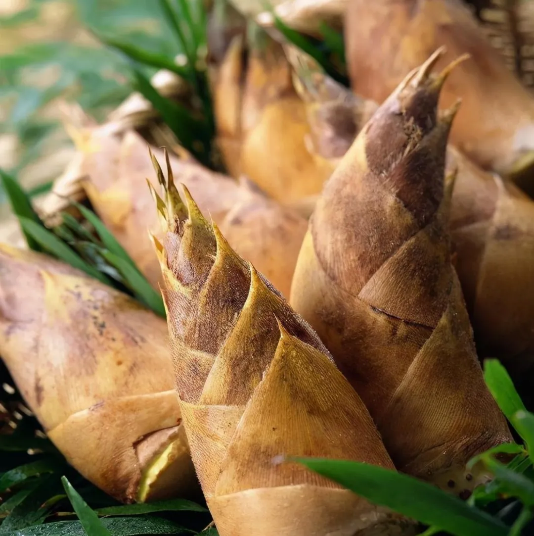 de11e15998e9d060842bc42f50b74b38-sz_1341871-1