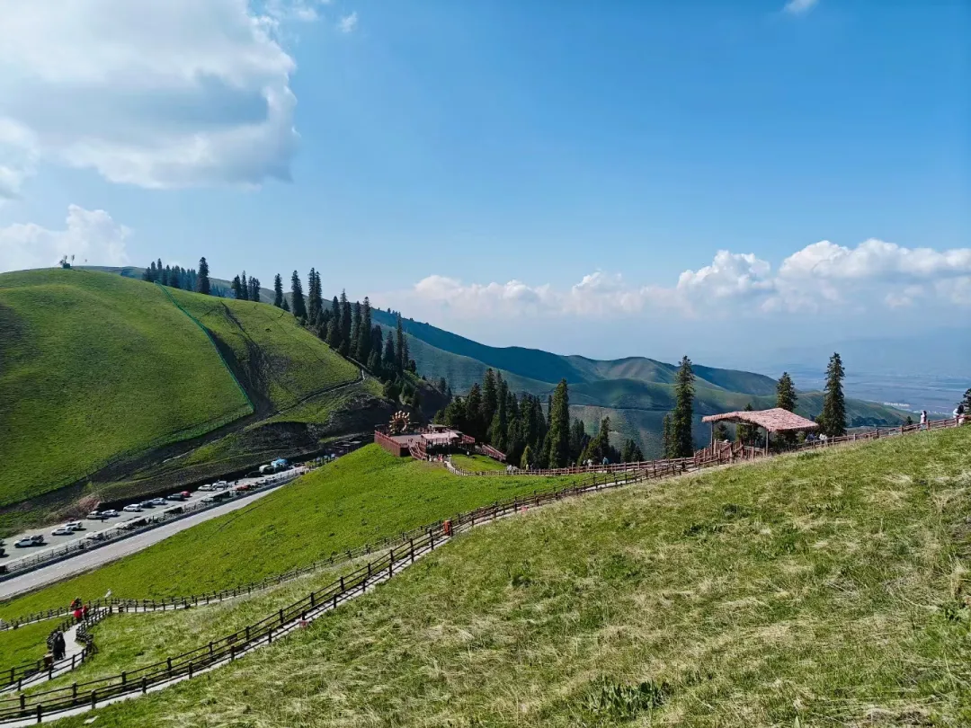 df38178a80ffffae1069e5deb07ca0a8-sz_1240659