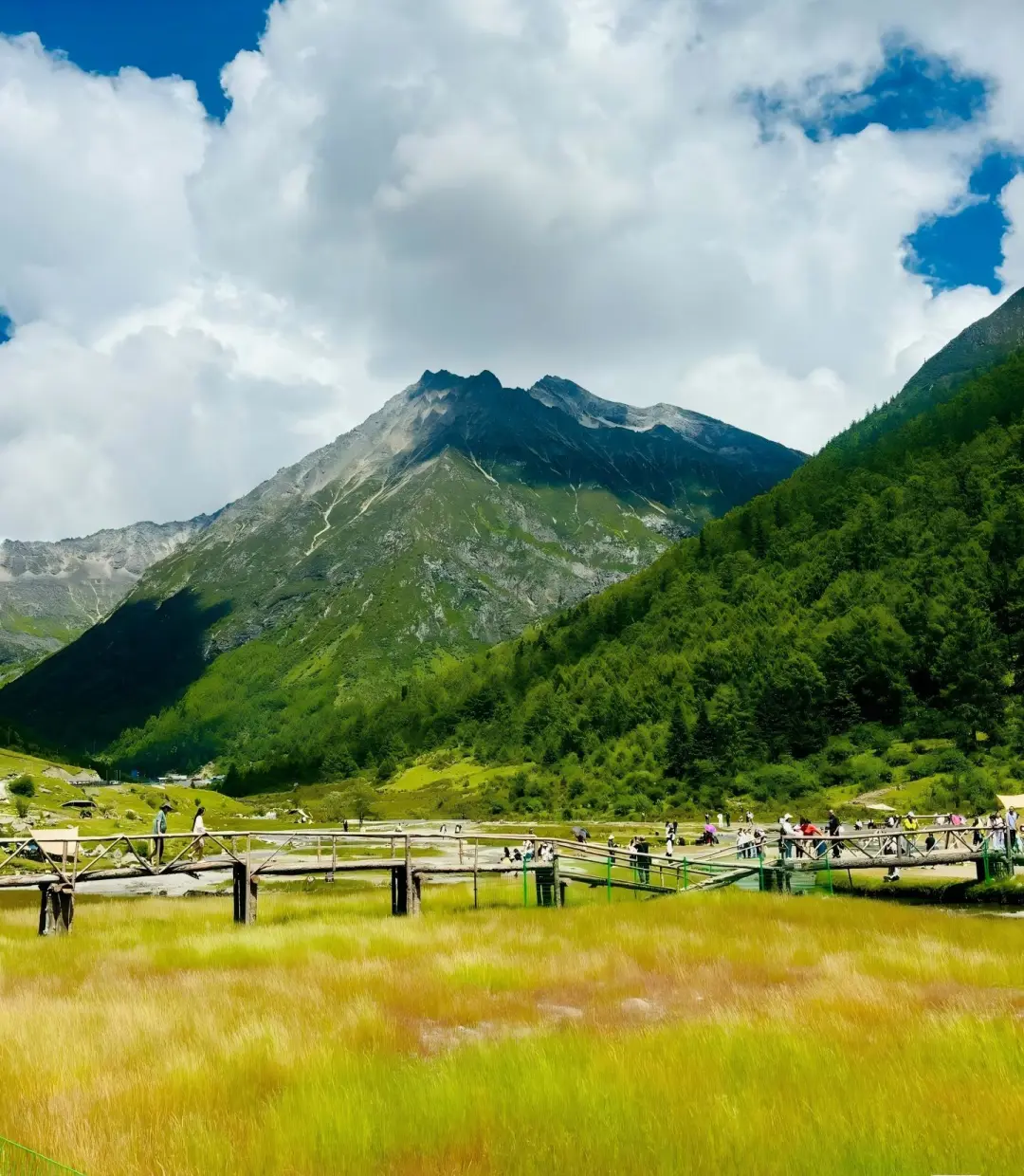 dfc6592aa21d28b9854e6c5f47ac1e41-sz_367511 dfc6592aa21d28b9854e6c5f47ac1e41-sz_367511