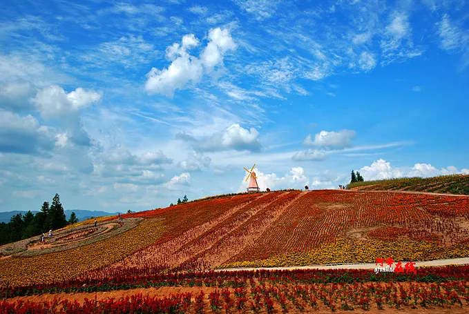 dfd920d5f0e6fe5038f17ed379a57fc4-sz_267039