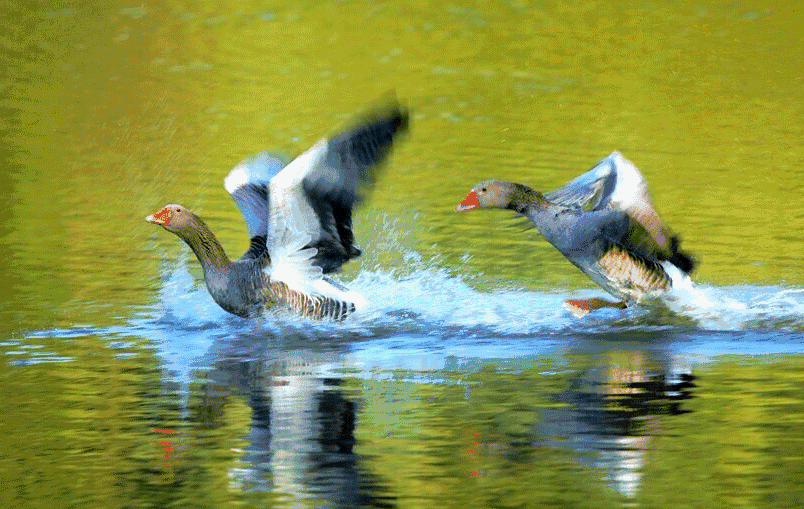 dff1b0e861c9a387dd64c6608992a43c-sz_380471