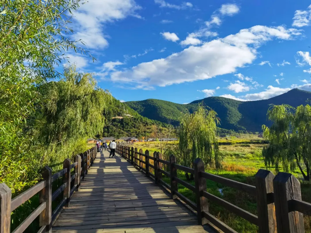 dffdda1ecfd50187e14d5888724c9d77-sz_1173992