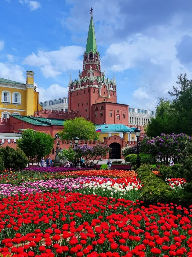 e002eeb75f03c6d0fa5a6f1b43303b0b-sz_1069612