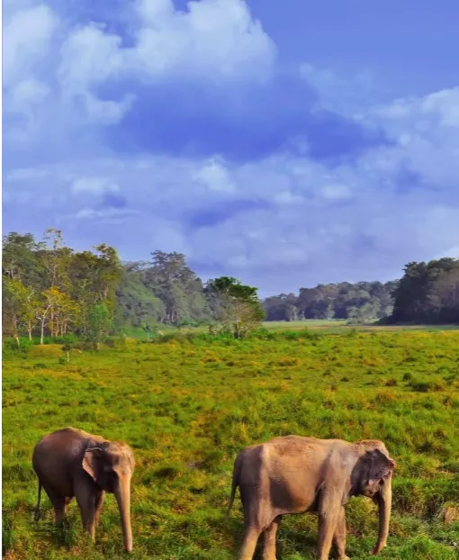 e09946aa2d7a3b17061569f00a01ceec-sz_694064