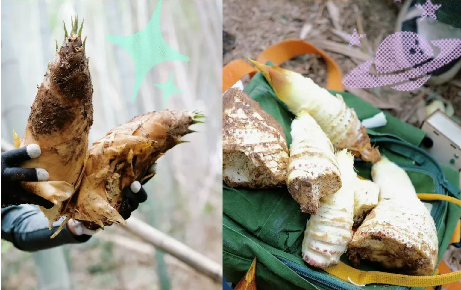 e10923d2cc852665422056a9cb5ea7c1 e10923d2cc852665422056a9cb5ea7c1