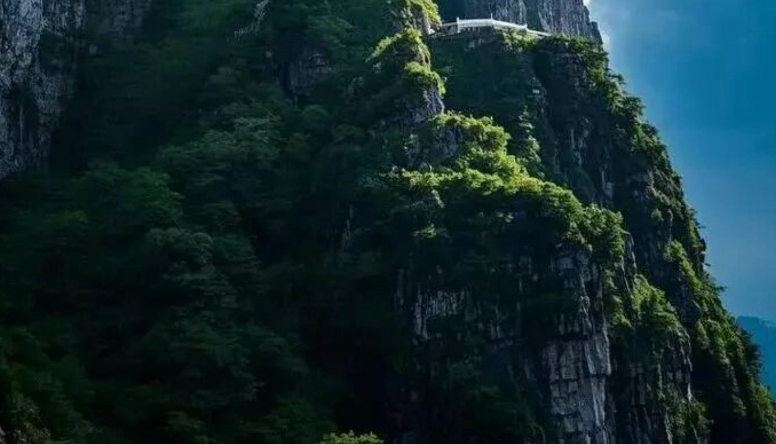 e1912b7cf7efe1d162d9b67045a830c0