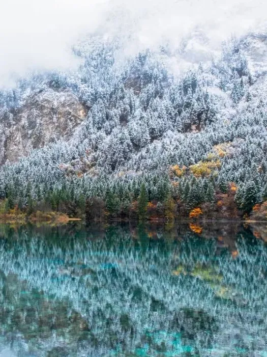 e192e0ad1a2107b0ef48d63715982cef-sz_185418-1