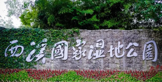 e1c517475e75a0ce79103d37400f60f4-sz_524478