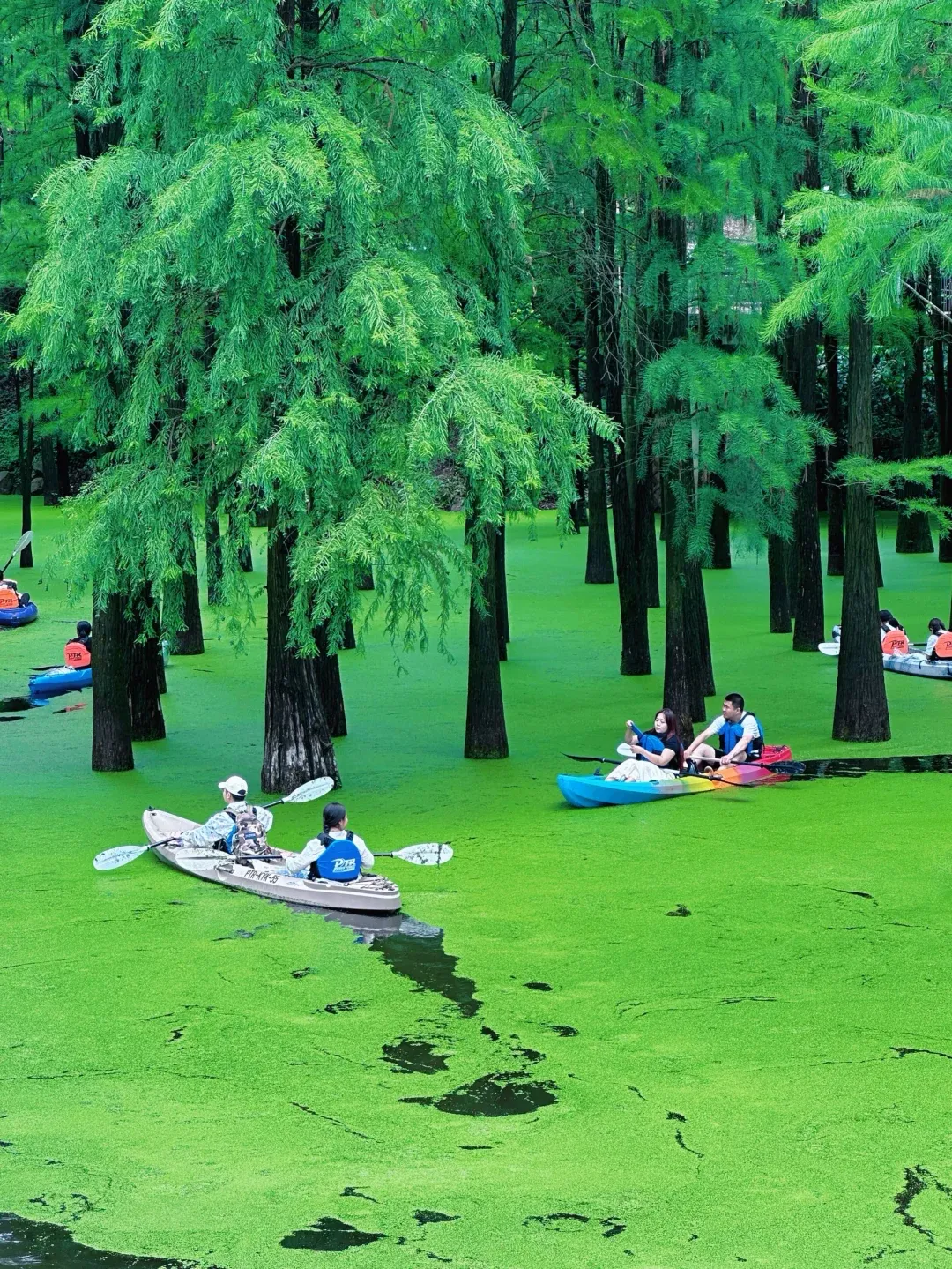 e1d473de2bf076e44adebe6f032a68b4-sz_4126216