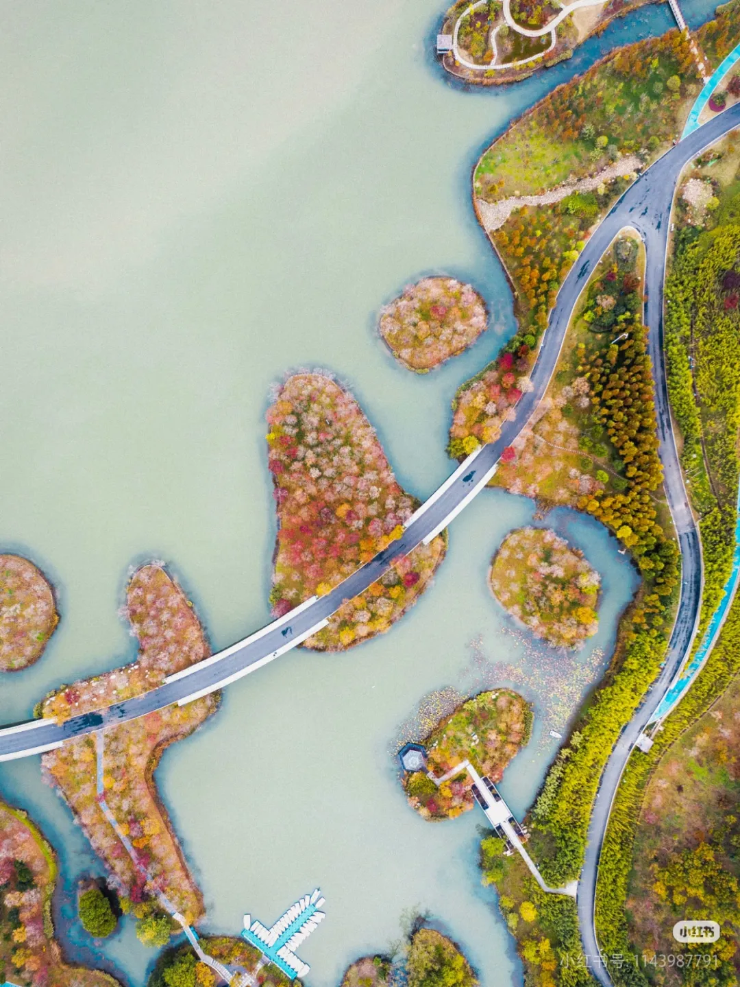 e1df09c43c7537b55995e5a796d01fc7-sz_1730712