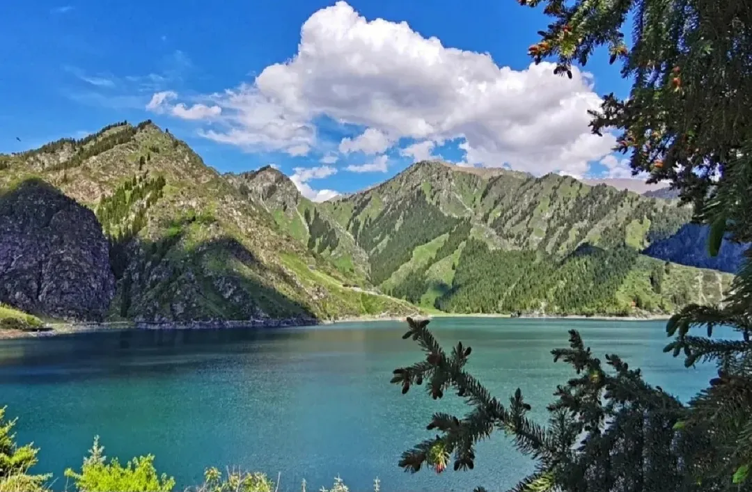 e202fc05b7db965276d3886b0dca8468-sz_436686-1