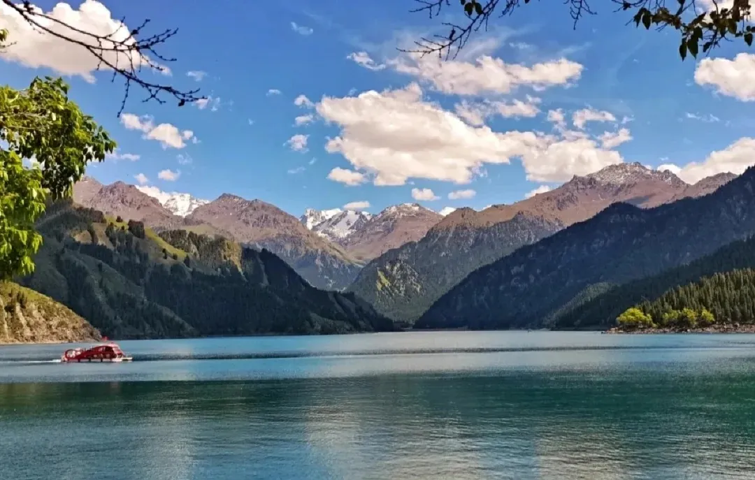 e202fc05b7db965276d3886b0dca8468-sz_436686