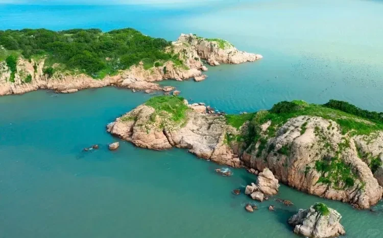 e26bc9616483ca1fa6206c9e2c8ccedf-sz_1323255