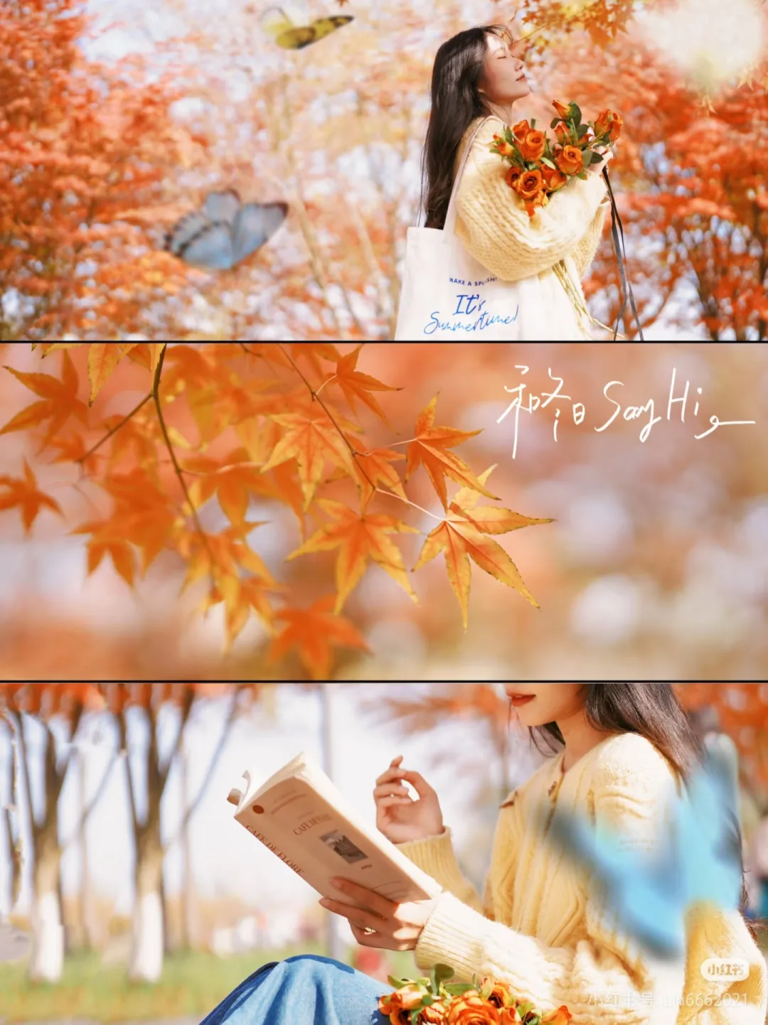 e28354b57a2fb3d040d34bae577004b4-sz_1253182-1 e28354b57a2fb3d040d34bae577004b4-sz_1253182-1